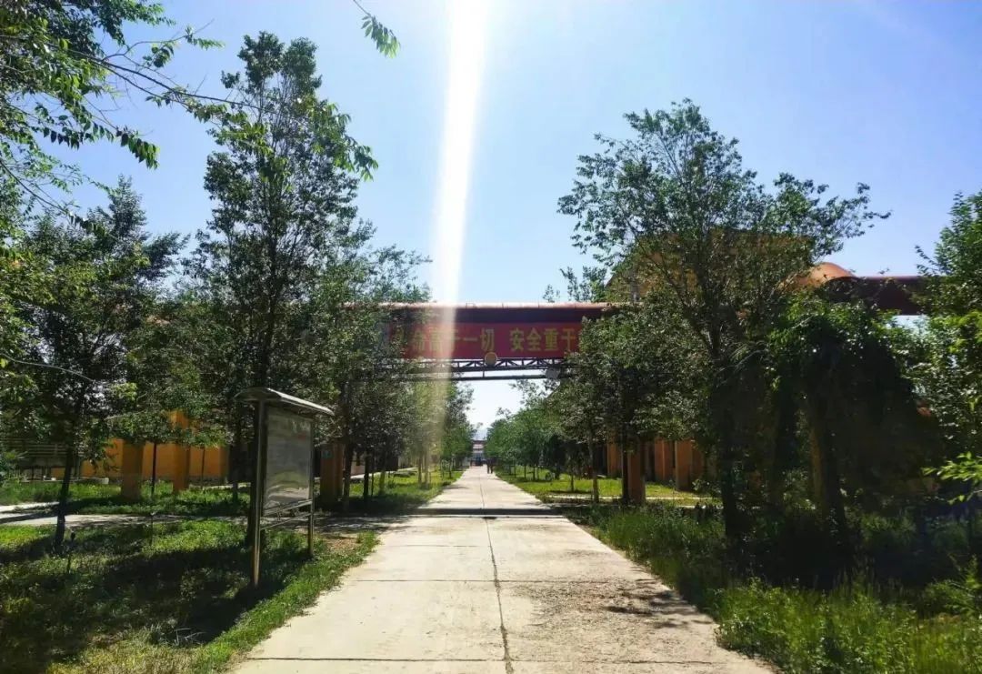 宝石花·有声 | 十年，我爱上了你——恒盛